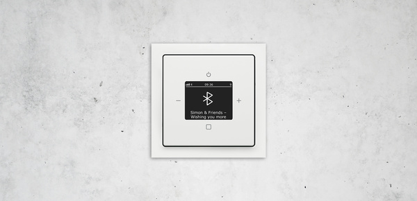 Busch-Radio Btconnect bei Elektro Hartmann in Karlshuld